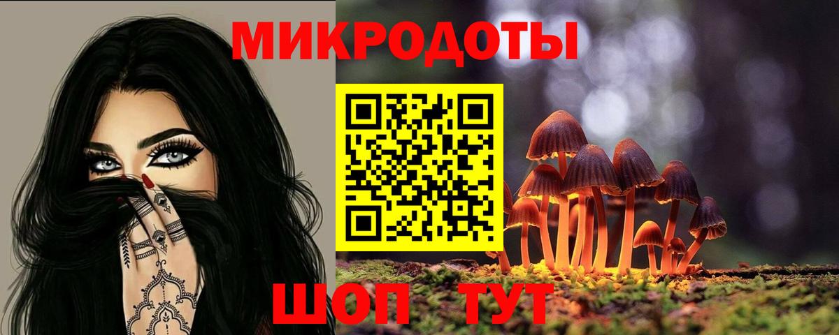 Псилоцибиновые грибы Psilocybe  Вход с VPN  Георгиевск 